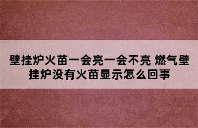 壁挂炉火苗一会亮一会不亮 燃气壁挂炉没有火苗显示怎么回事